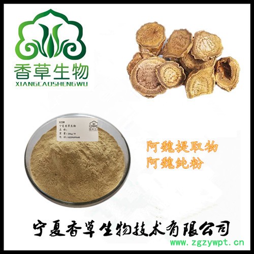 阿魏提取物经销商 厂家供应臭阿魏粉 细叶阿魏浓缩液现货图2