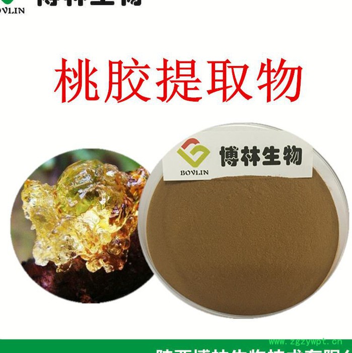 桃胶提取物10:1 20:1 桃胶粉 桃胶纯粉图2