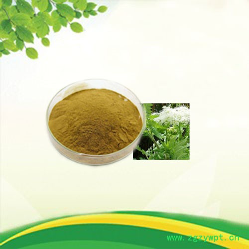 森杰生物  厂家现货供应   没药提取物  10:1 植物提取物图7