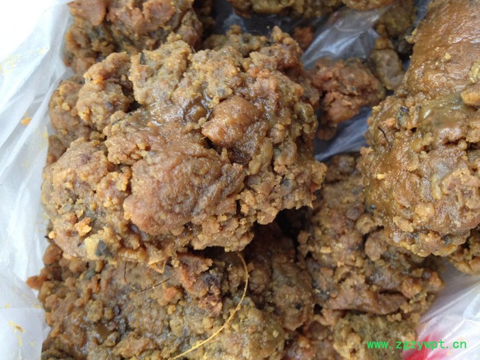 大地物产 新疆阿魏 臭阿魏 钓鱼阿魏图3