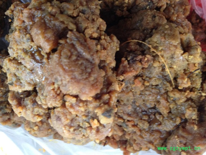 大地物产 新疆阿魏 臭阿魏 钓鱼阿魏图2