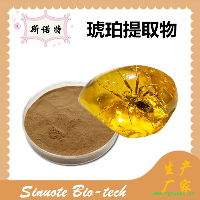 斯诺特 琥珀提取物 琥珀粉 厂家供应 包邮图6