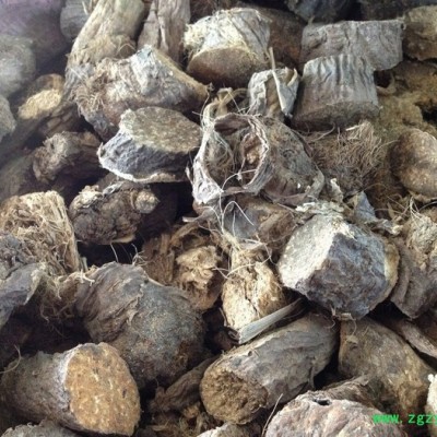 大地物产 新疆阿魏根