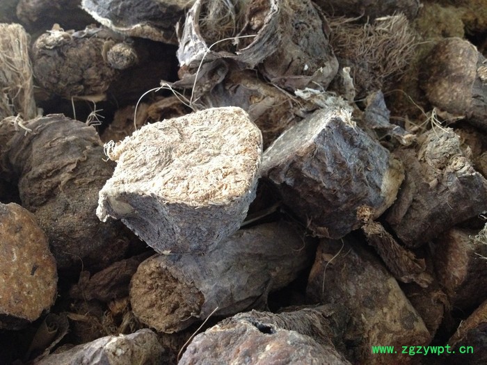 大地物产 新疆阿魏根图2