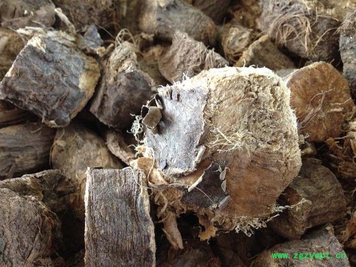 大地物产 新疆阿魏根图3