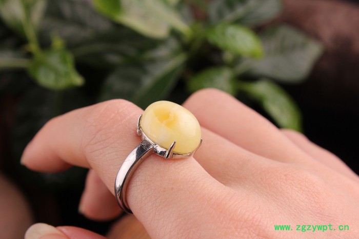 成都蜜蜡_蜜蜡戒指_成都蜜蜡琥珀工厂图3