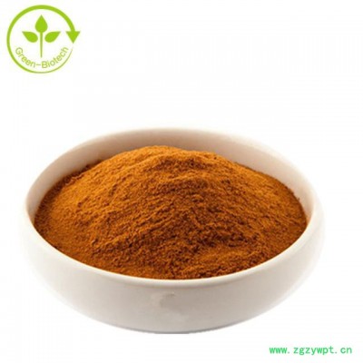 现货供应蛹虫草提取物 蛹虫草粉  虫草多糖 虫草素