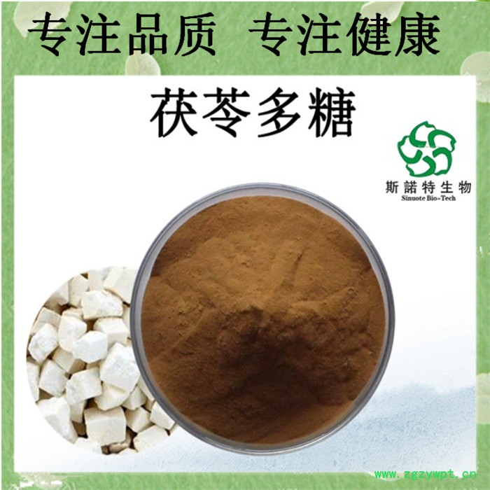 白桦茸多糖 50% 白桦茸多糖粉 白桦茸提取物图2