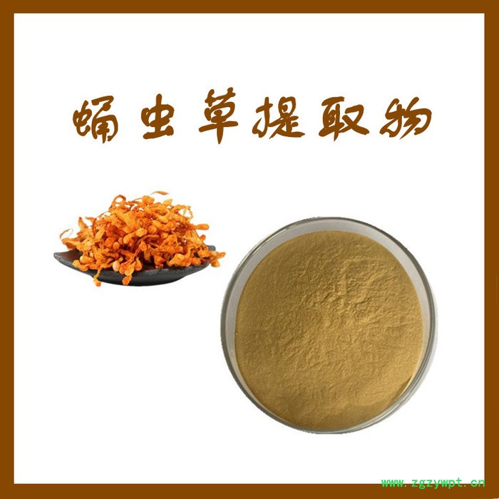 蛹虫草提取物 可定制 水溶 蛹虫草浓缩粉厂家 蛹虫草多糖图3