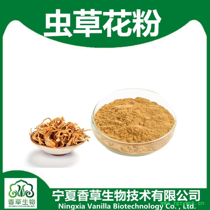 香草生物 虫草花提取物高比例提取 供应虫草花粉98% 全水溶性虫草花子实体粉图8