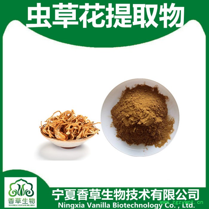 香草生物 虫草花提取物高比例提取 供应虫草花粉98% 全水溶性虫草花子实体粉图6