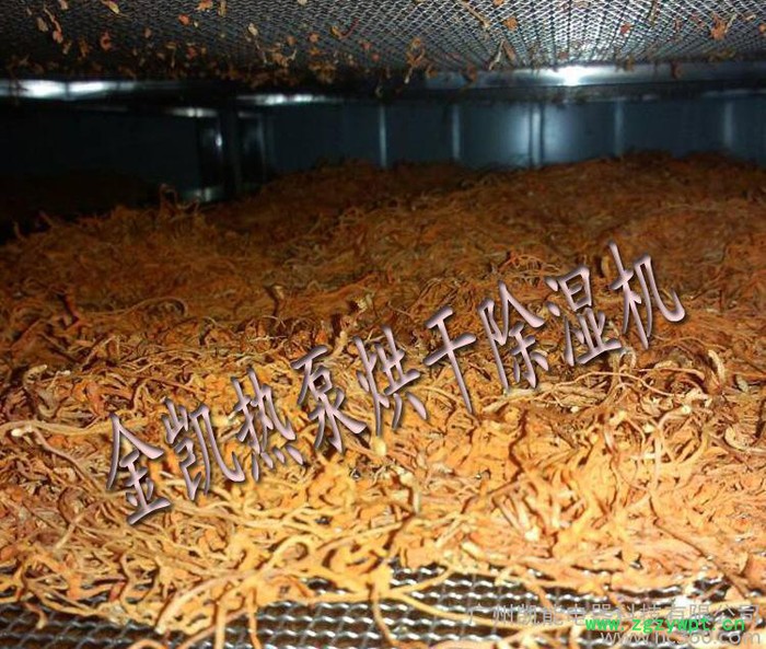 【虫草花烘干机】供应金凯JK-ZT-HGJ06虫草花烘干设备/农产品烘干机