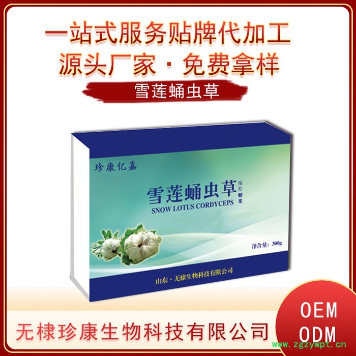 雪莲蛹虫草片批发代理招商加盟 雪莲蛹虫草片厂家 oem贴牌代加工图5