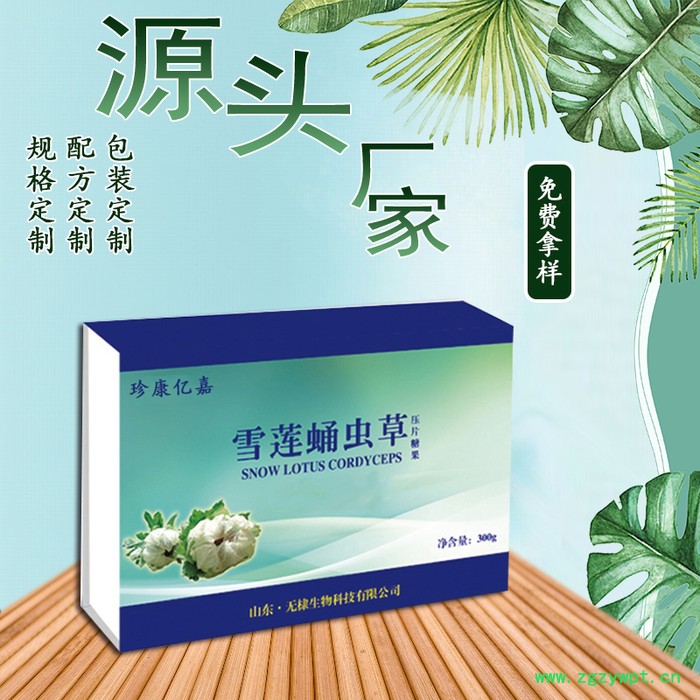 雪莲蛹虫草片批发代理招商加盟 雪莲蛹虫草片厂家 oem贴牌代加工图3