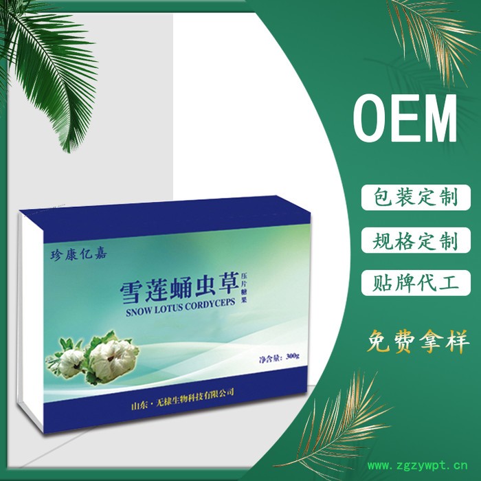 雪莲蛹虫草片批发代理招商加盟 雪莲蛹虫草片厂家 oem贴牌代加工图4