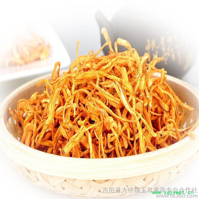 供应产地真供北虫草食用菌虫草花鲜味十足蛹虫草滋补金虫草新上市