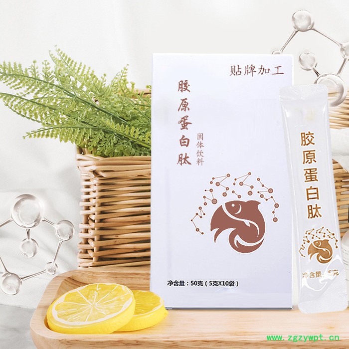 复合蛋白粉代加工 乳清蛋白粉代加工 人参蛹虫草猴头菇蛋白粉代加工图6