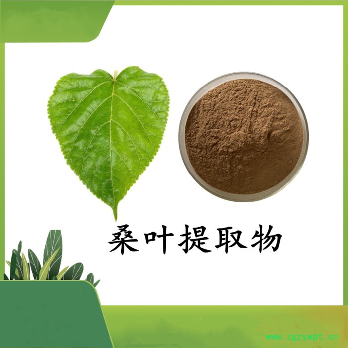 海藻提取物 斯诺特 可定制图3