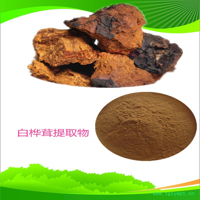 白桦茸提取物 水溶性白桦茸粉 白桦茸多糖图5