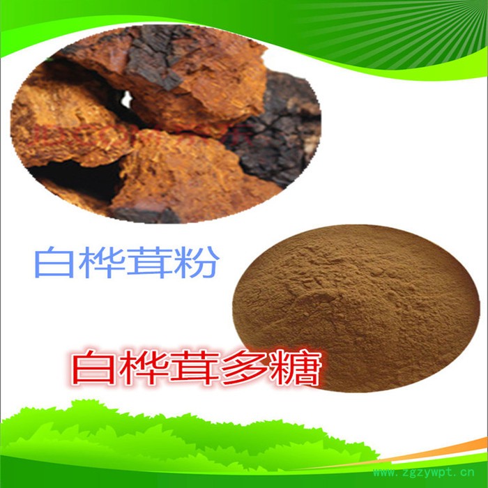白桦茸提取物 水溶性白桦茸粉 白桦茸多糖图6