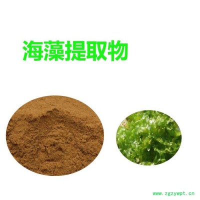 甘肃斯诺特  海藻提取物  全国包邮   海藻速溶粉
