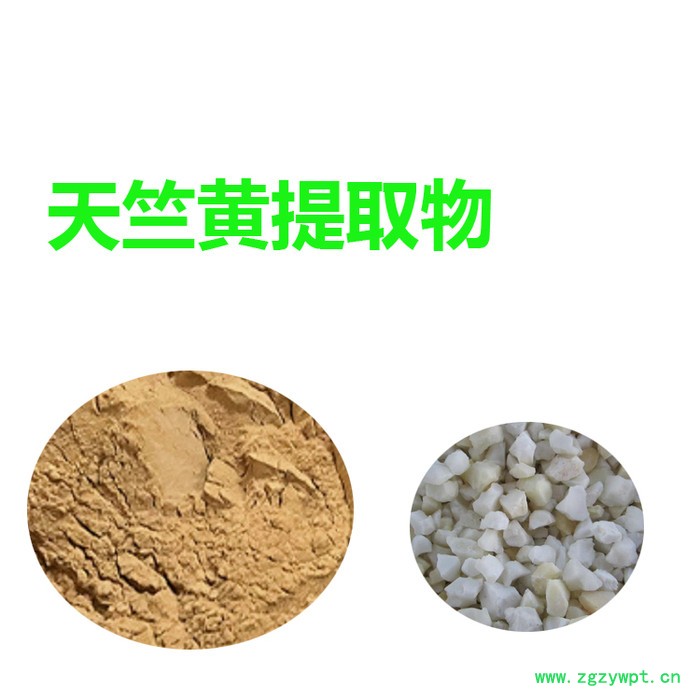 甘肃斯诺特 天竺黄提取物   量大从优 天竺黄粉   全水溶图5
