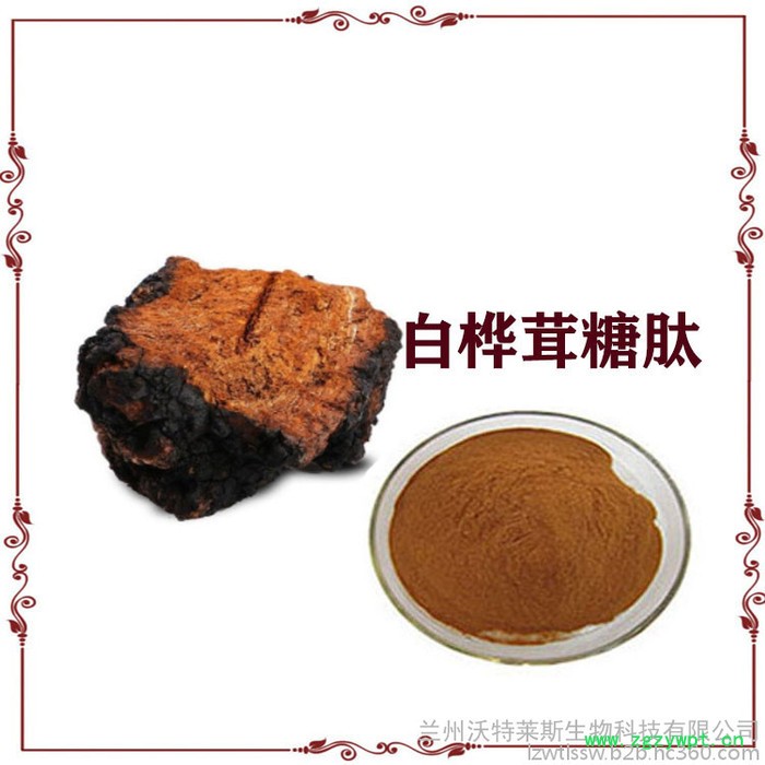 白桦茸糖肽  白桦茸粉  白桦茸多肽图2