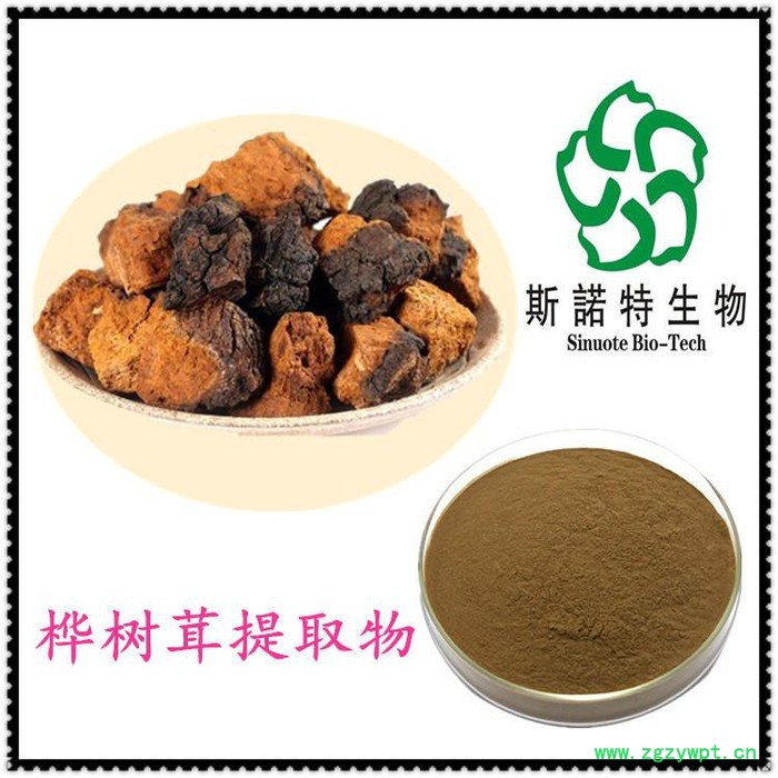 白桦茸提取物10:1 白桦茸粉 白桦茸速溶粉 斯诺特生物图7