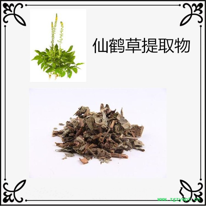 白桦茸提取物10:1 白桦茸粉 白桦茸速溶粉 斯诺特生物图5