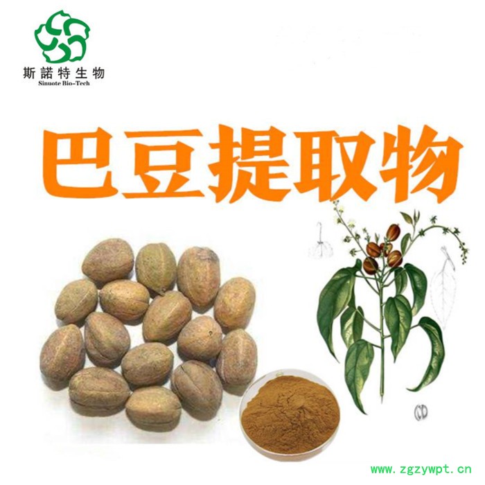 白桦茸提取物10:1 白桦茸粉 白桦茸速溶粉 斯诺特生物图4