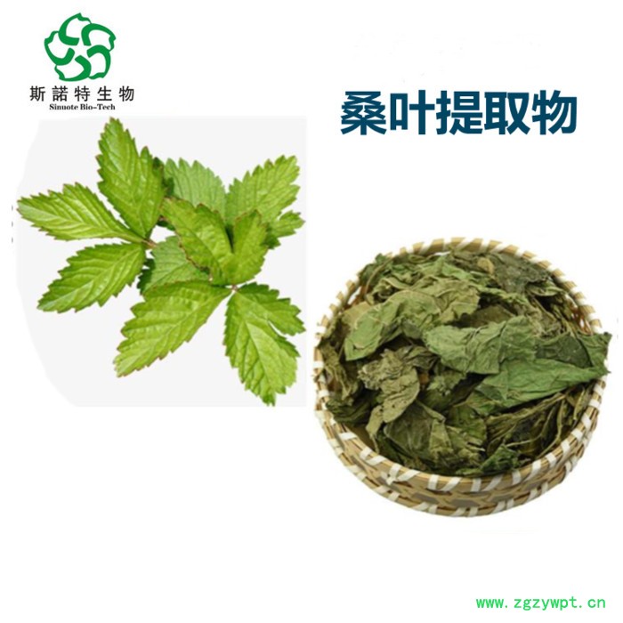 白桦茸提取物10:1 白桦茸粉 白桦茸速溶粉 斯诺特生物图6