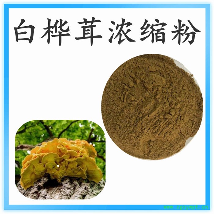 白桦茸提取物   可定制  水溶性  白桦茸粉厂家图2
