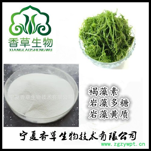 海藻提取物水提 香草生物供应海藻多糖30% 裙带菜提取物 海藻粉原粉图6