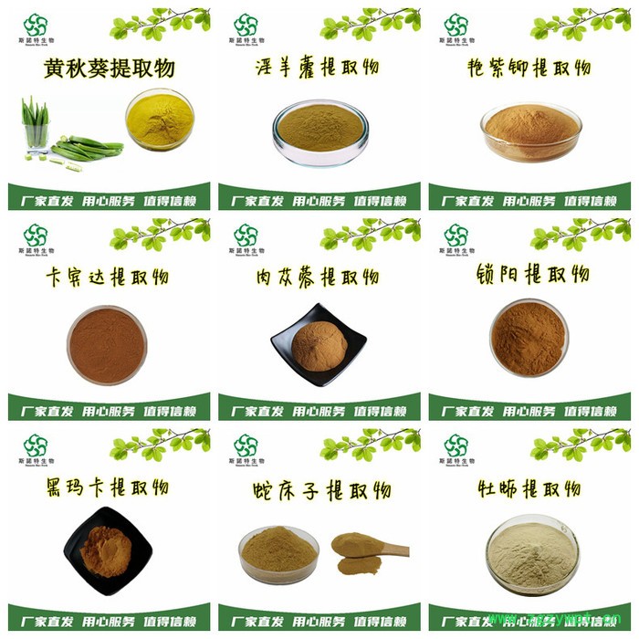 蛹虫草多糖 30%生产厂家 蛹虫草提取物 蛹虫草粉图3