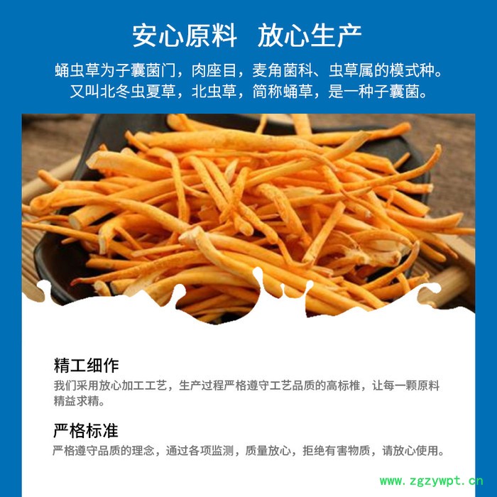 蛹虫草多糖 30%生产厂家 蛹虫草提取物 蛹虫草粉图2