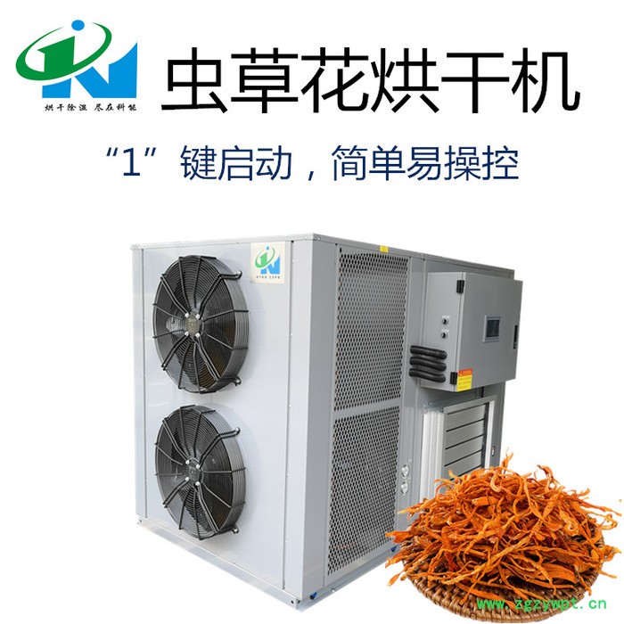 虫草花烘干机图5