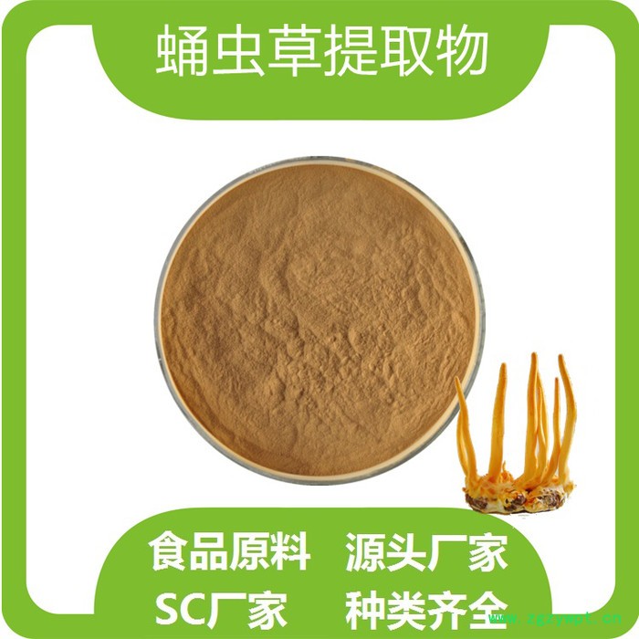 蛹虫草提取物 蛹虫草速溶粉 虫草多糖 虫草素