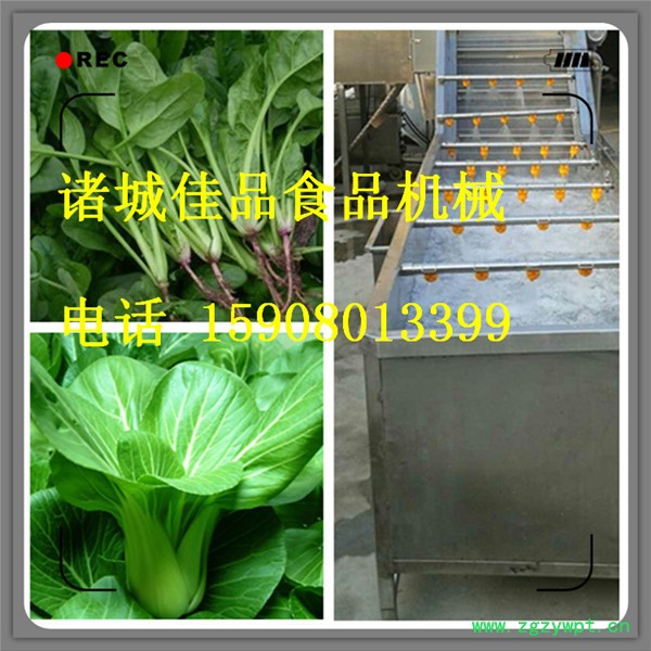 鱼类清洗机 海菜类清洗机 海藻清洗线 银耳清洗机佳品机械厂家定制图2