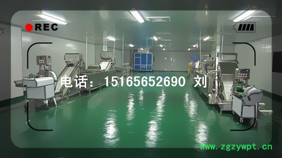 鱼类清洗机 海菜类清洗机 海藻清洗线 银耳清洗机佳品机械厂家定制图4