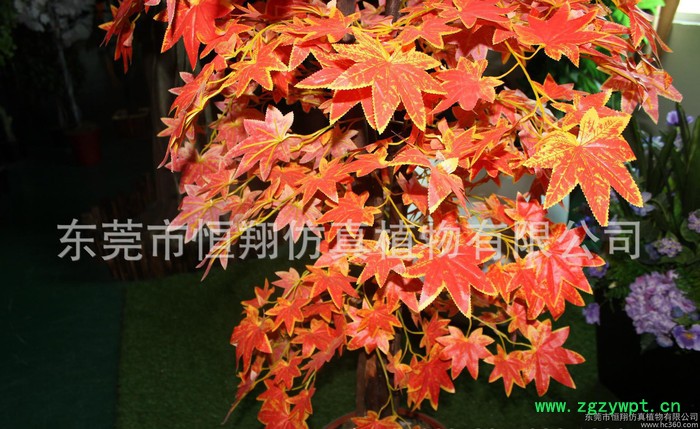 宁夏仿真枫树 高端仿真加拿利海藻树 仿真盆景花 永生花图3