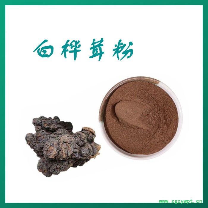 白桦茸浓缩粉 水溶 可定制 白桦茸提取物厂家图2