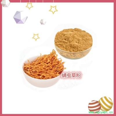 斯诺特 蛹虫草提取物 浓缩粉 蛹虫草粉