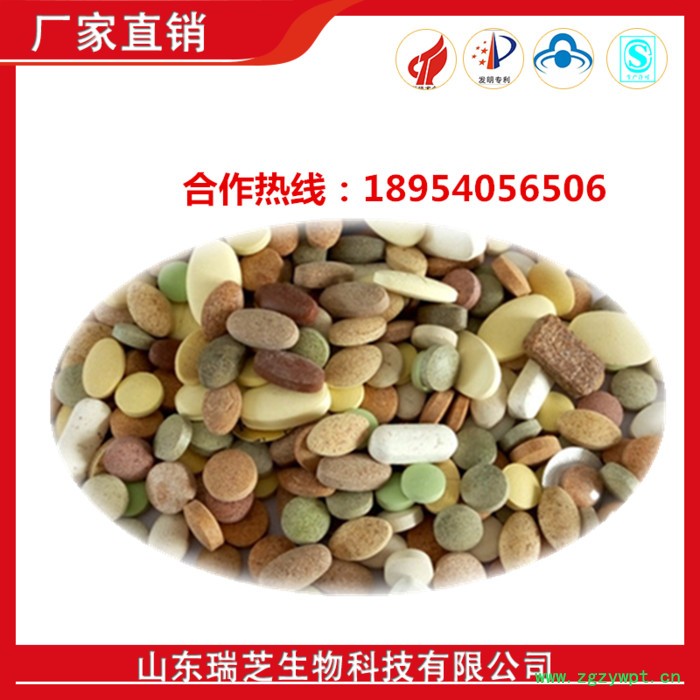 供应全真虫草含片，5X 虫草片生产厂家  蛹虫草种植基地图4