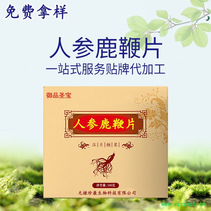 成人男性食品鹿鞭片 黄精牡蛎肽人参蛹虫草 片剂贴牌代加工oem