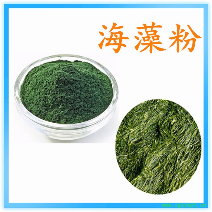 海藻粉  可定制 水溶性 海藻提取物厂家图2