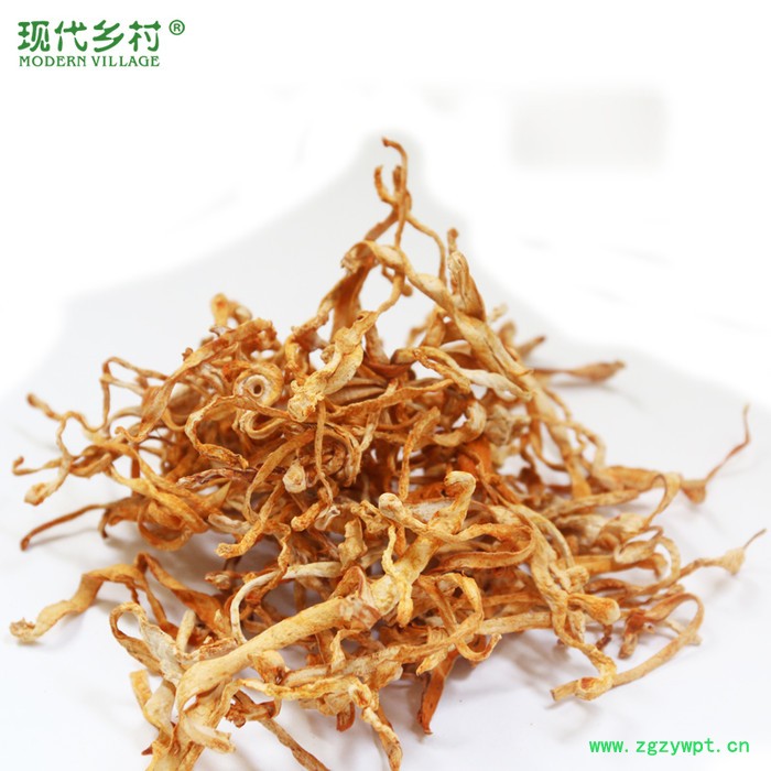 虫草花 干货 云南特产虫草花 蛹虫草 北虫草 干品 散货 50克