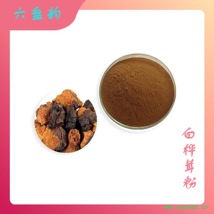 白桦茸粉 白桦茸提取物 喷雾干燥 可水溶白桦茸粉图2