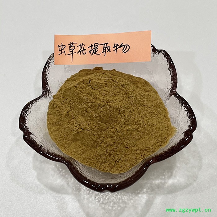 金萃坊厂家现货供应 虫草花萃取物 虫草花提取物10：1图3