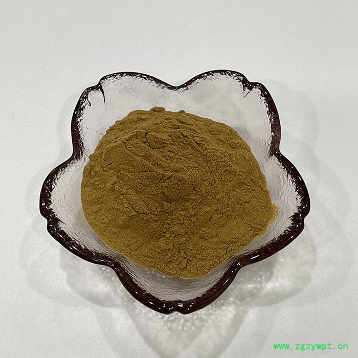 金萃坊厂家现货供应 虫草花萃取物 虫草花提取物10:1图2