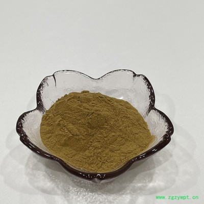 金萃坊厂家现货供应 虫草花萃取物 虫草花提取物10：1